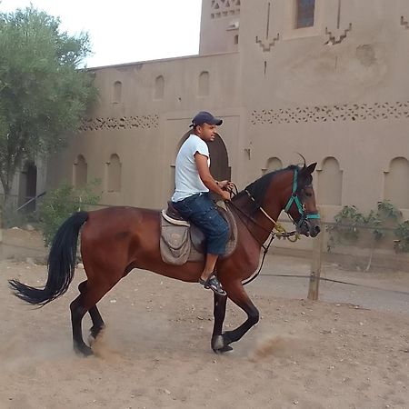 Kasbah Dar Dmana Hotell Skoura Eksteriør bilde