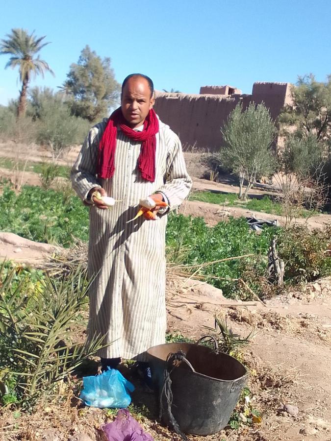 Kasbah Dar Dmana Hotell Skoura Eksteriør bilde