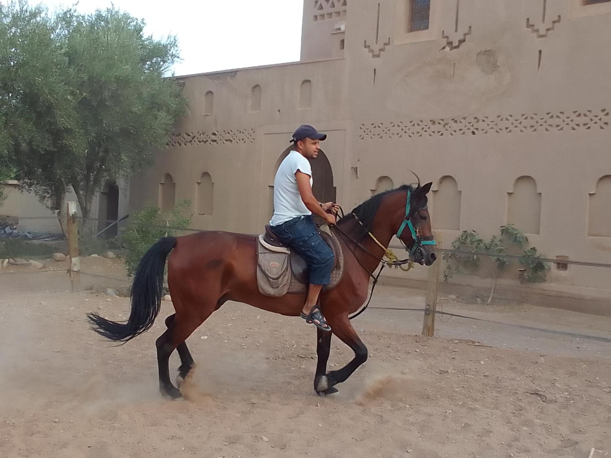 Kasbah Dar Dmana Hotell Skoura Eksteriør bilde